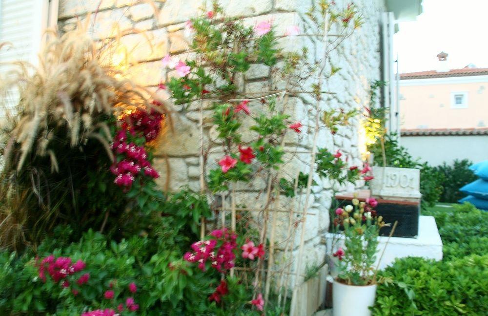 Yasemin Alacati (Adults Only) المظهر الخارجي الصورة